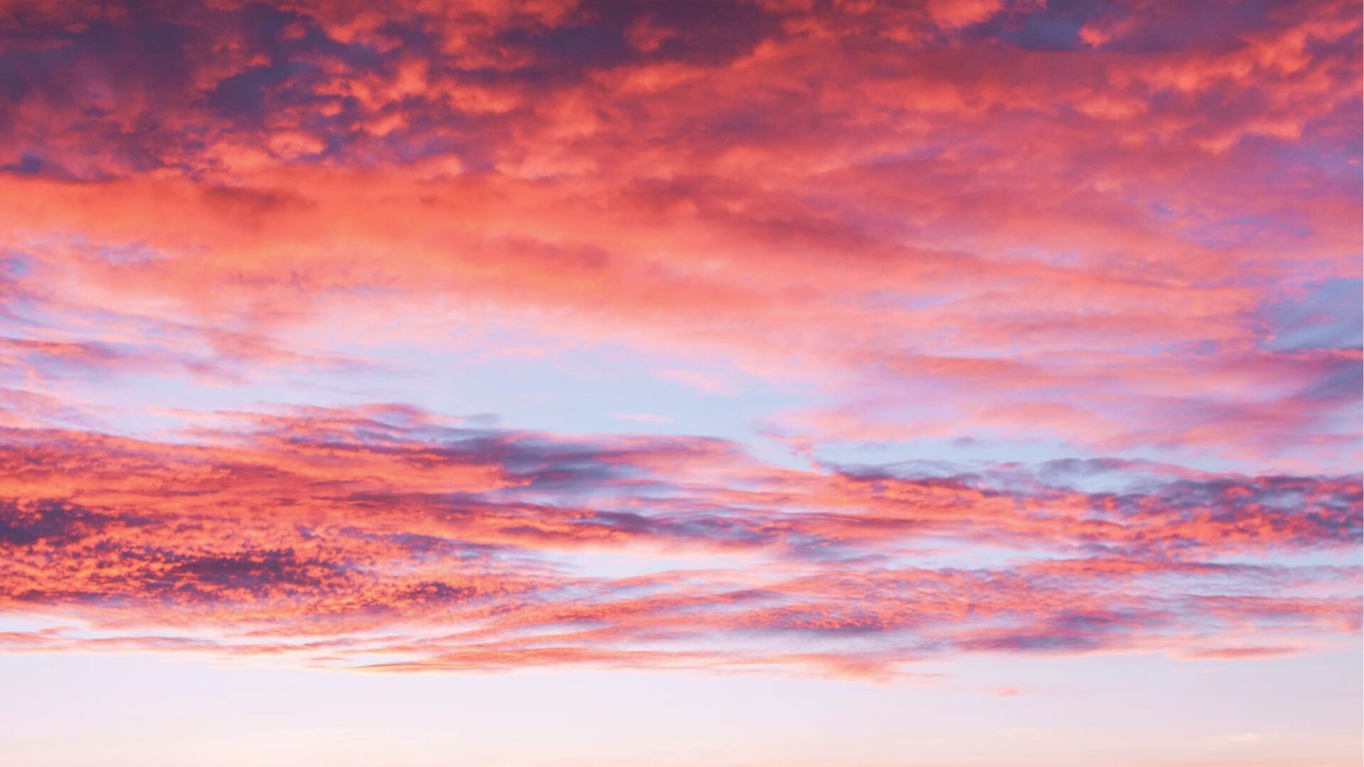 A new year in the age of Covid