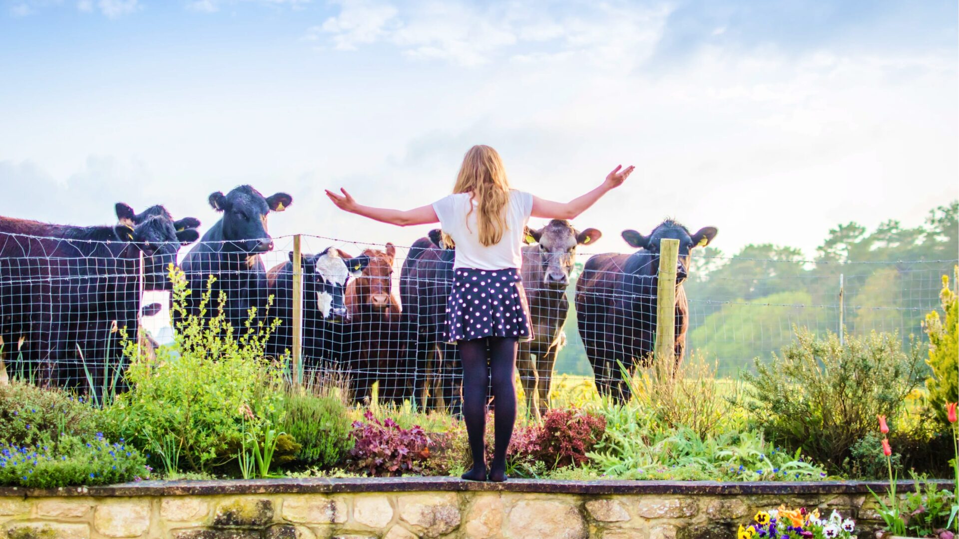 Practice what you preach – and don't forget to eat your own dog food