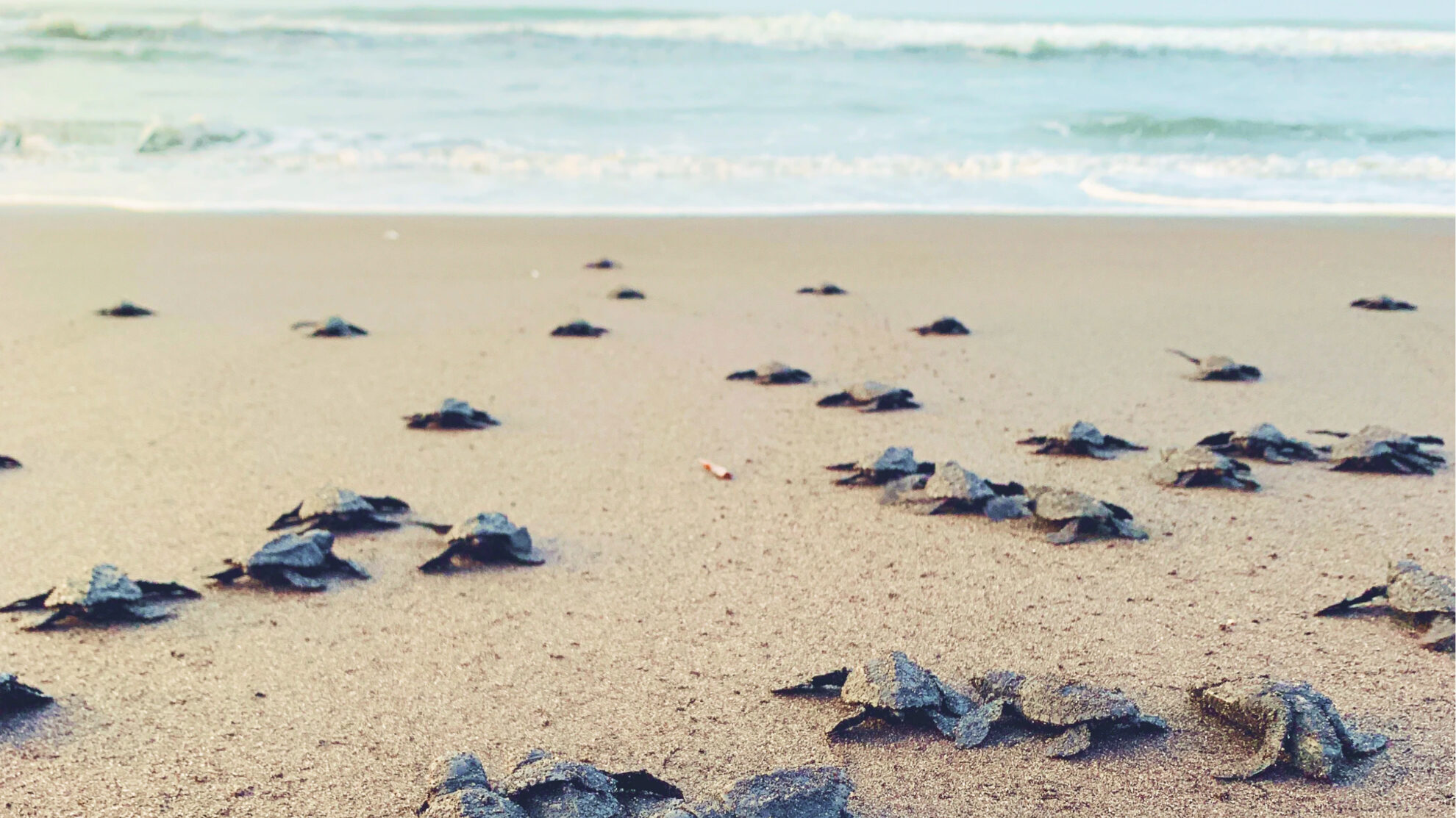 Everything always takes more time than you expect