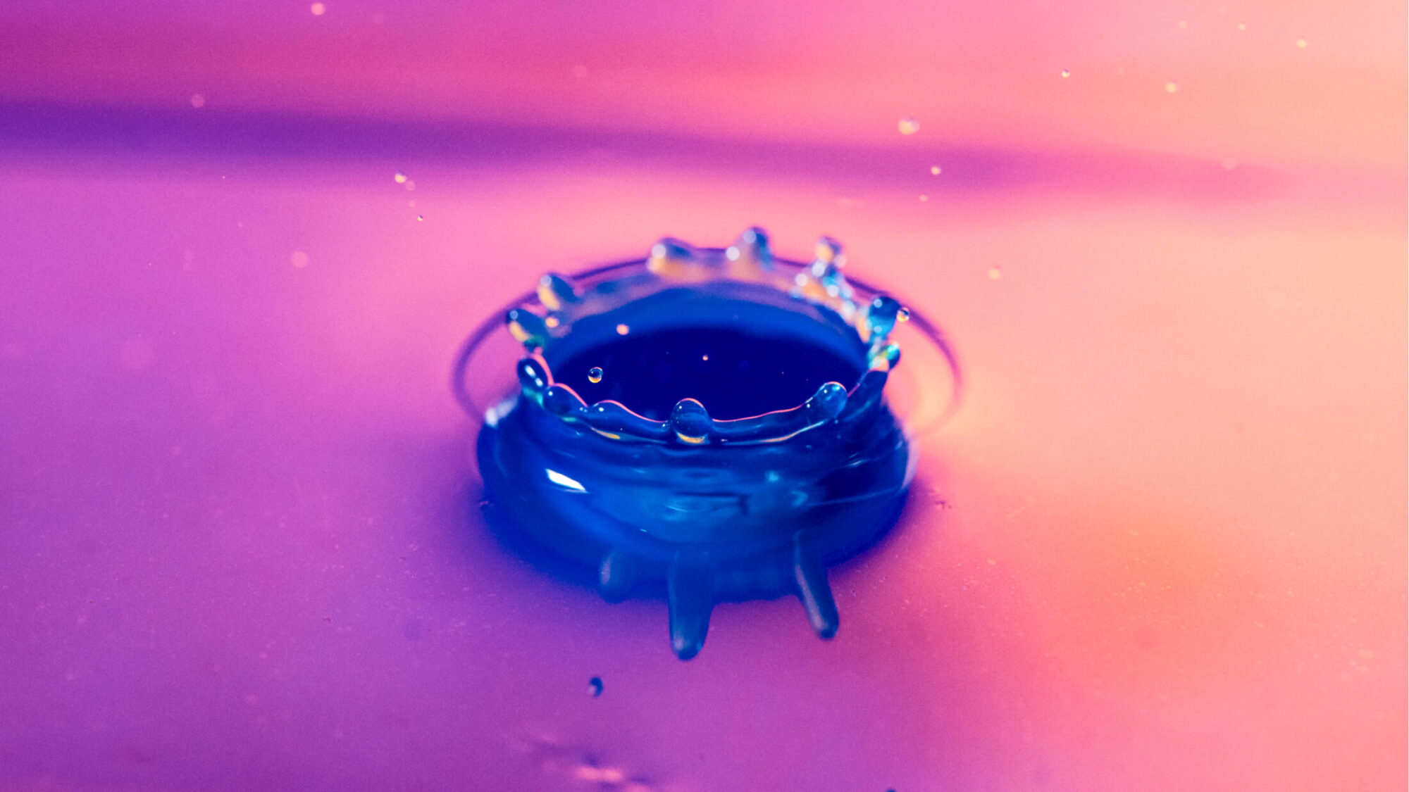 22 reasons for why a startup fails and how to avoid them