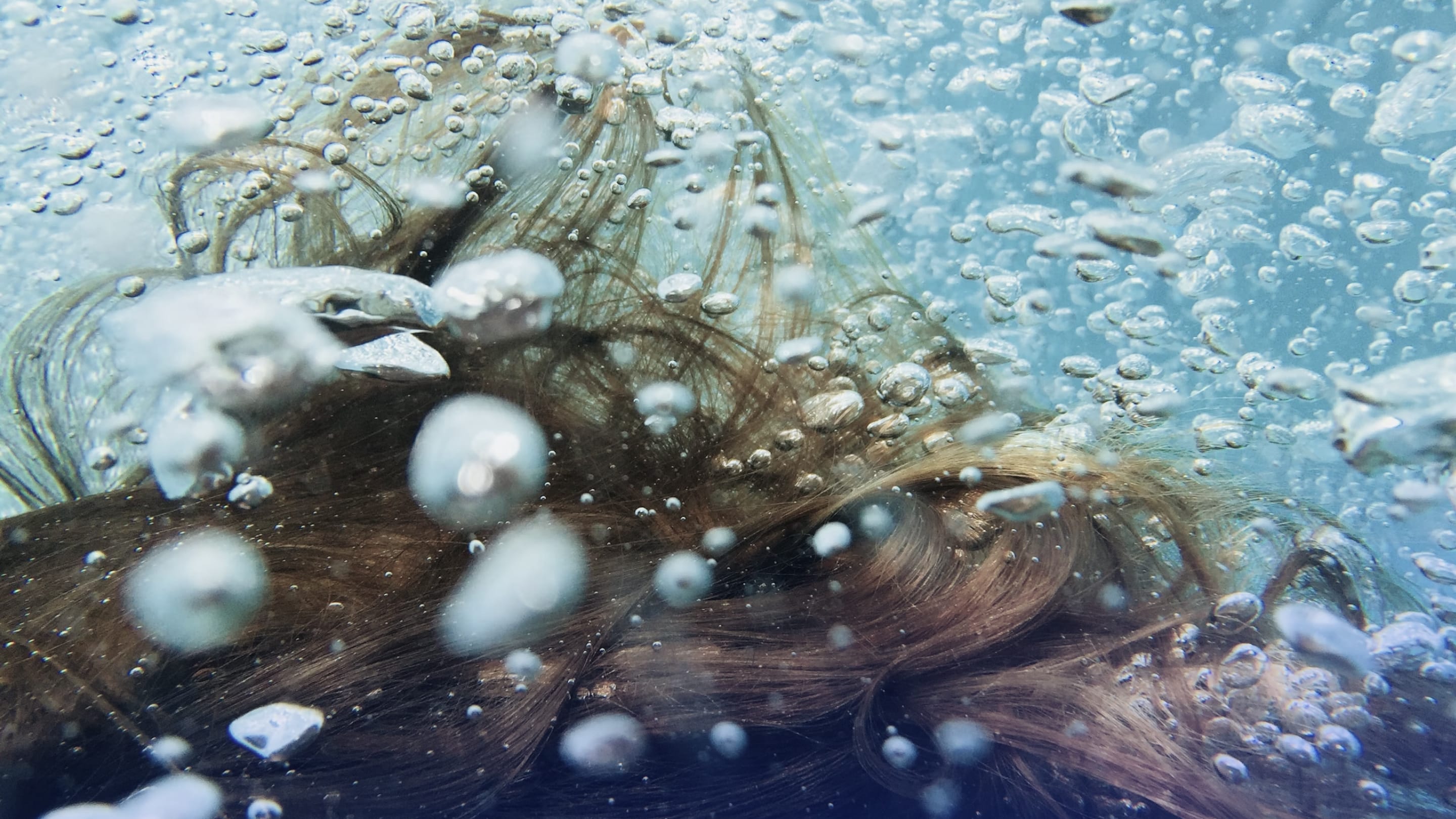 Building great products with total immersion